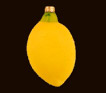 Fruits